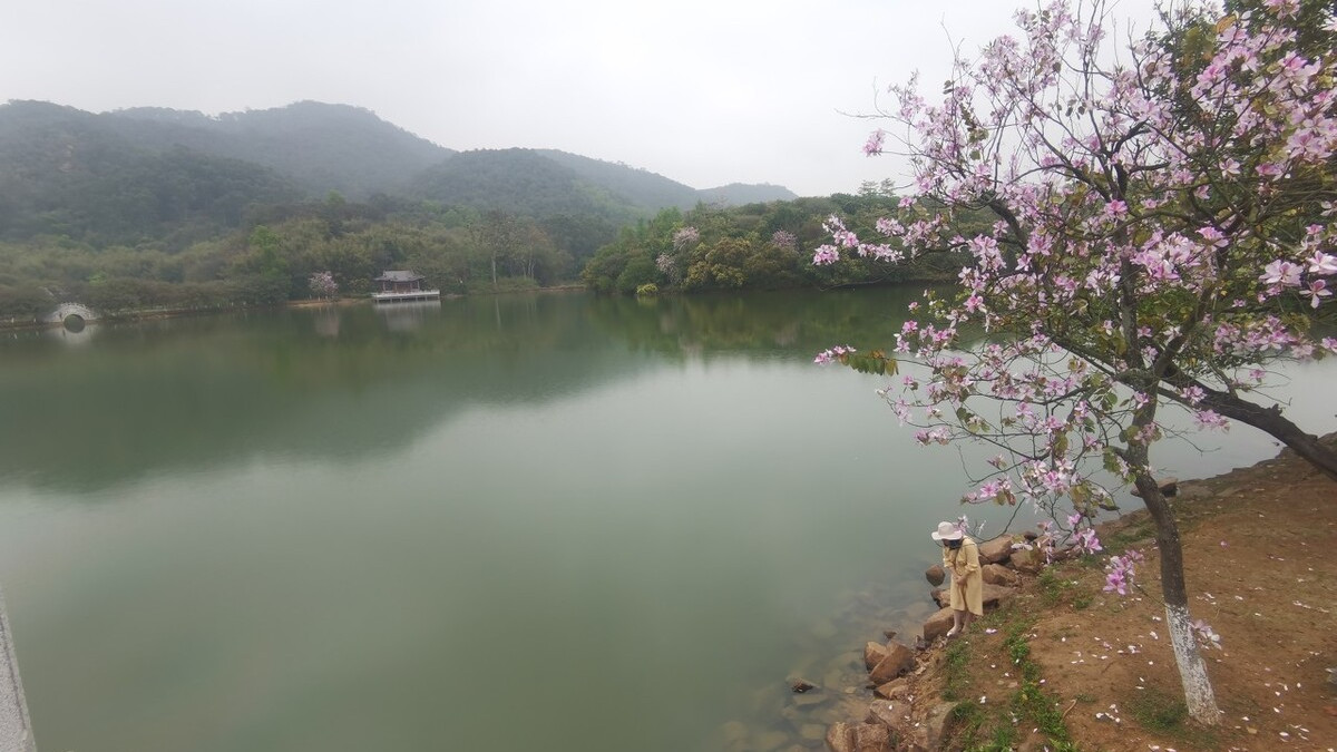 苏东坡最经典的七句诗,苏东坡最经典20首词