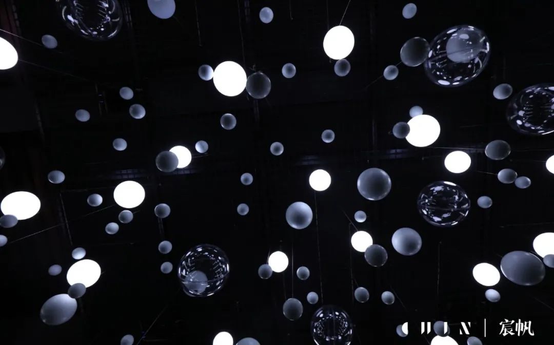 网红参加盛典,网红聚集参加宴会