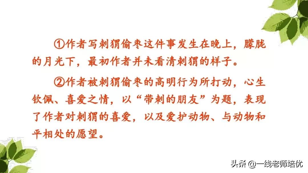三年级语文带刺的朋友课堂笔记,带刺的朋友三年级上册