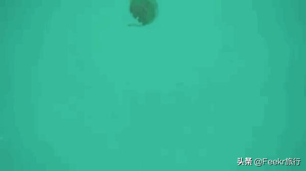 最不想分享的小众海岛,小众海岛旅行