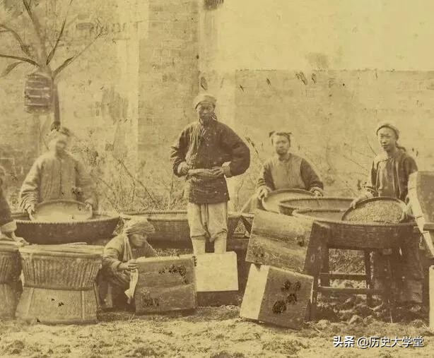 清朝白银流出,1900后大清茶叶换白银