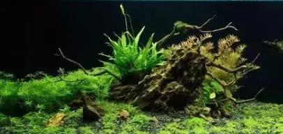 家装室内水系造景设计,家居鱼池假山布局