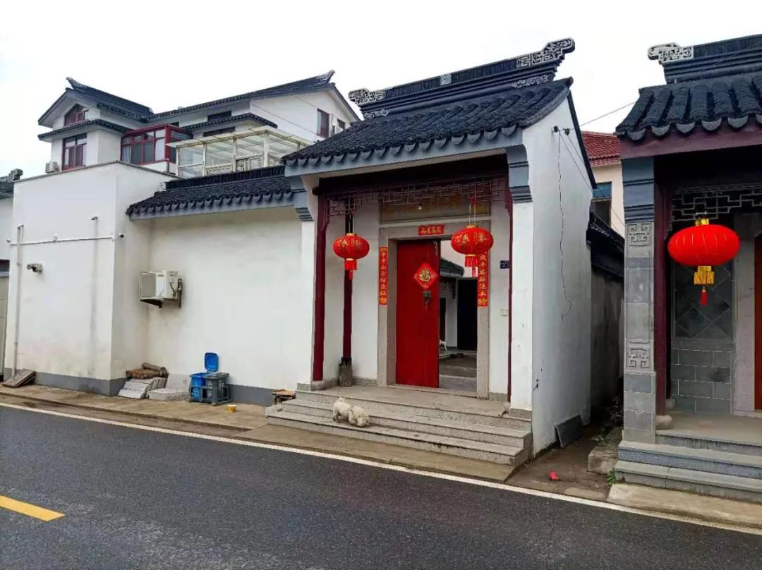 苏州东山碧螺春品尝,高端苏州洞庭山碧螺春