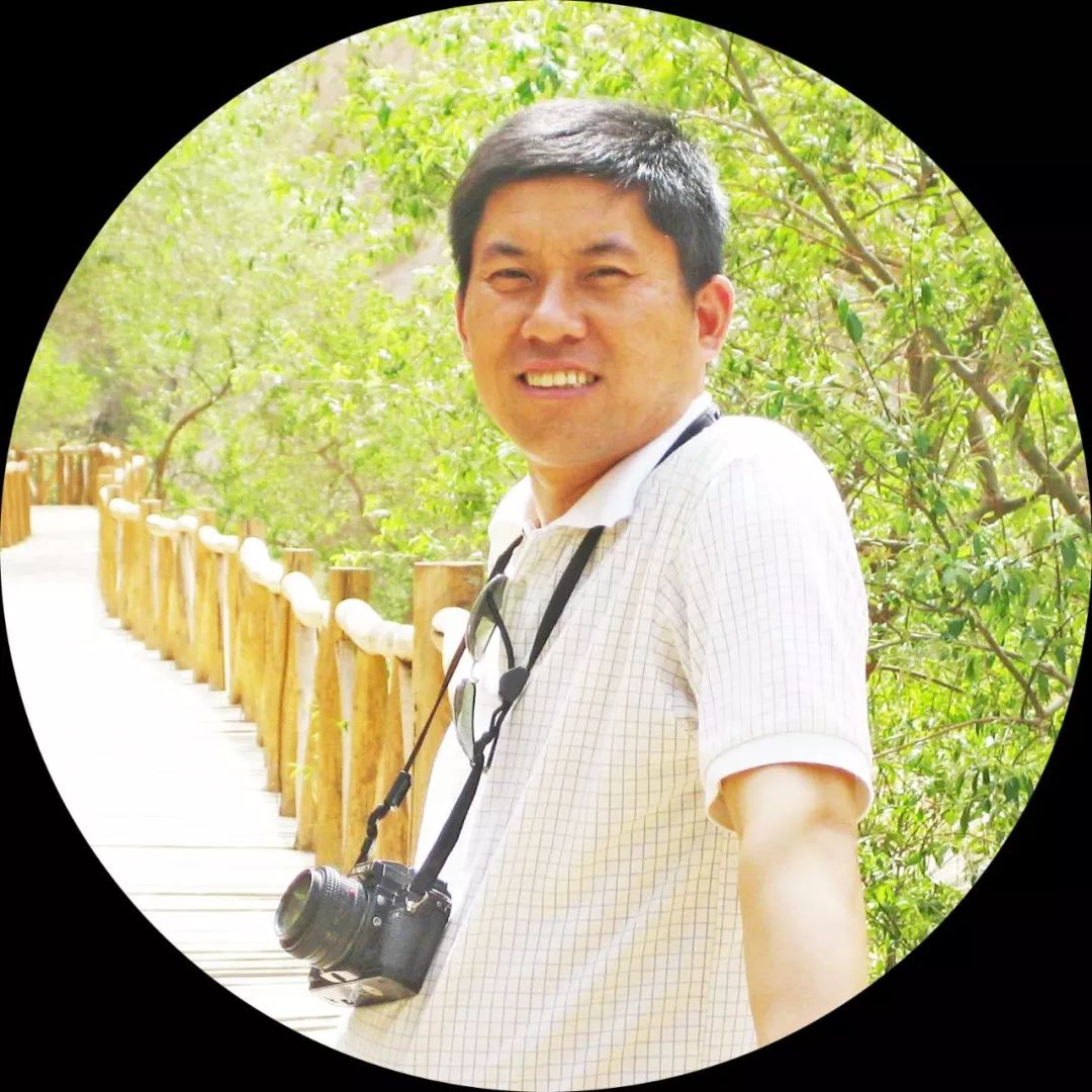 名家专栏｜面依碗（赵长春）