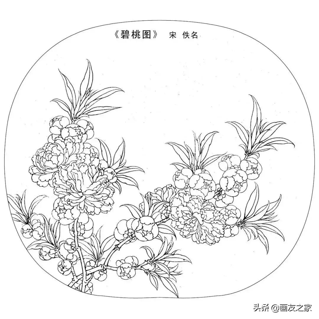 宋花鸟工笔画高清大图临摹过程,宋画工笔画花卉上色教程