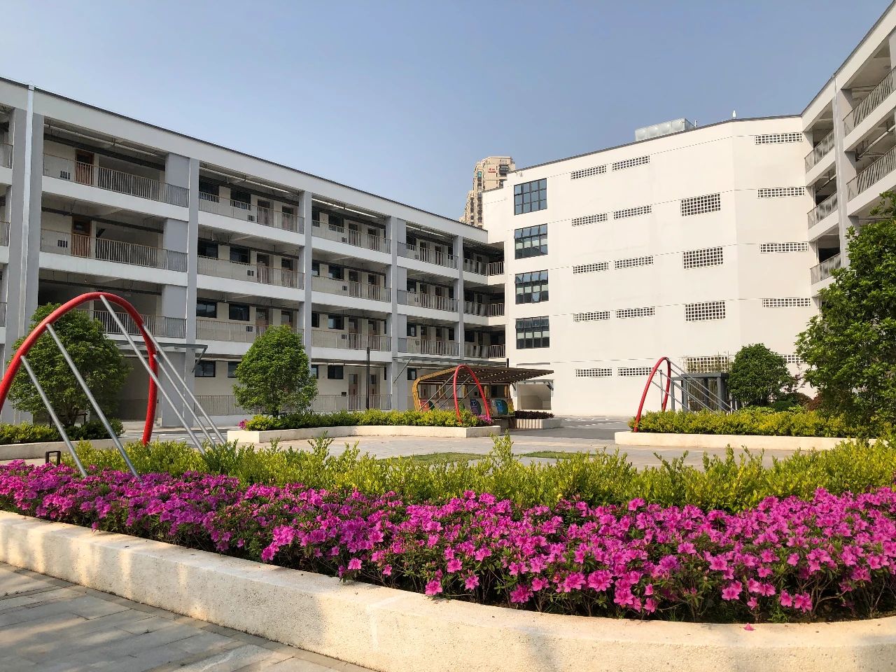 名校力量|她是琅小跨江发展第一校