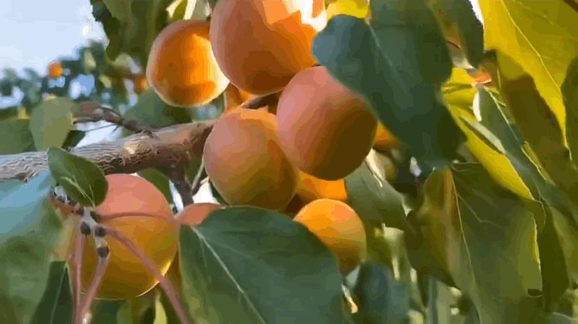 好看的国货护肤品,好吃的国货良心推荐