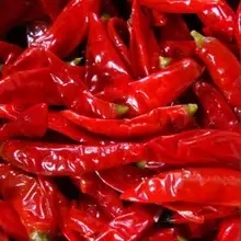 四川泡菜最正宗的做法王刚,四川泡菜王刚最正宗的做法