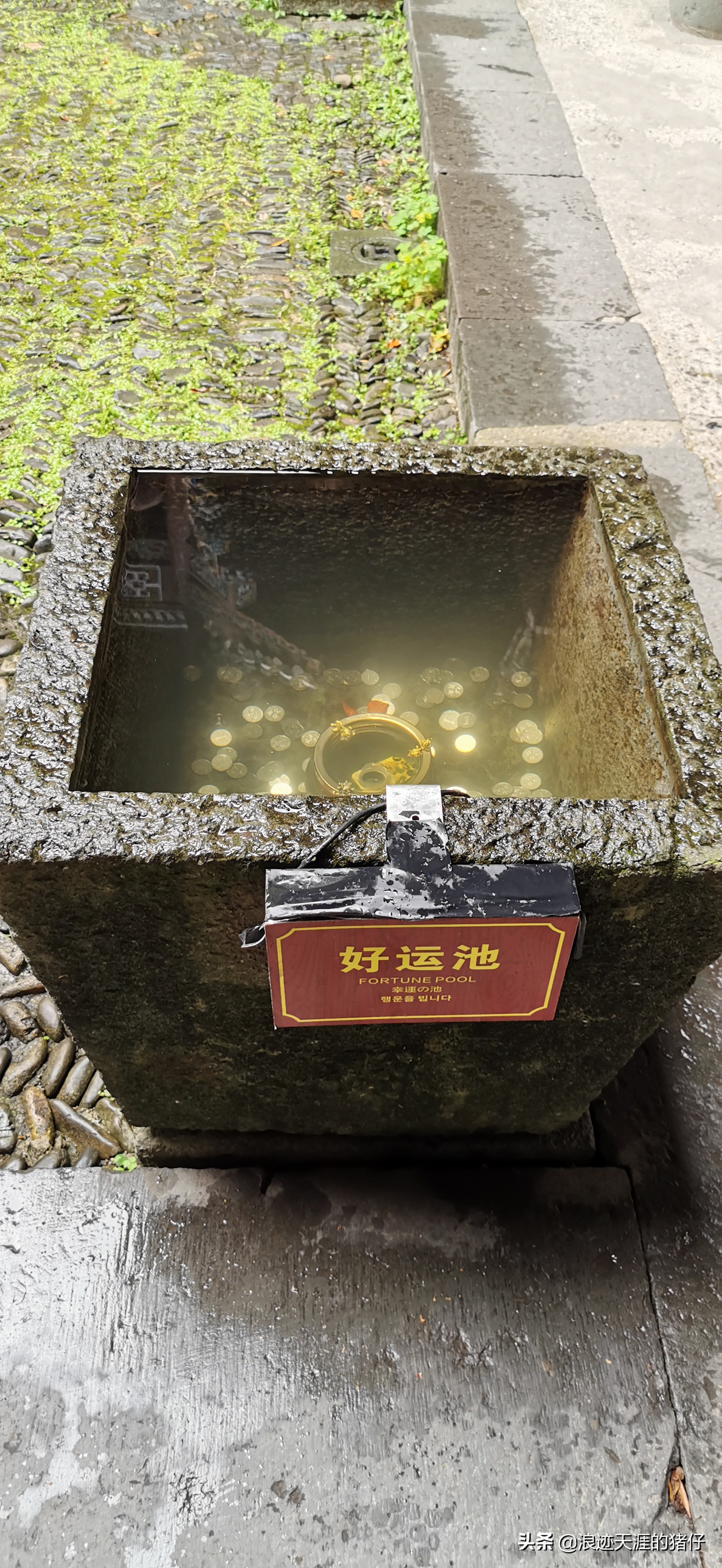 千岛湖疫情政策,千岛湖景区半价优惠