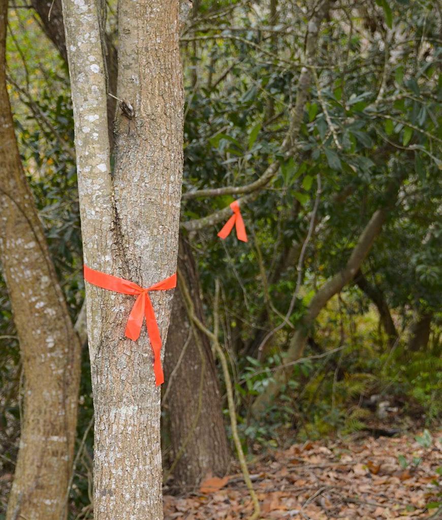 在没有信号的地方怎么求救,野外求救信号最佳方法