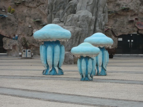 西安带孩子们最值得去的海洋公园,遛娃海洋馆打卡视频