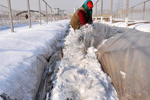 几号立春大寒节气过后还冷吗,2022年南方立春后有倒春寒吗