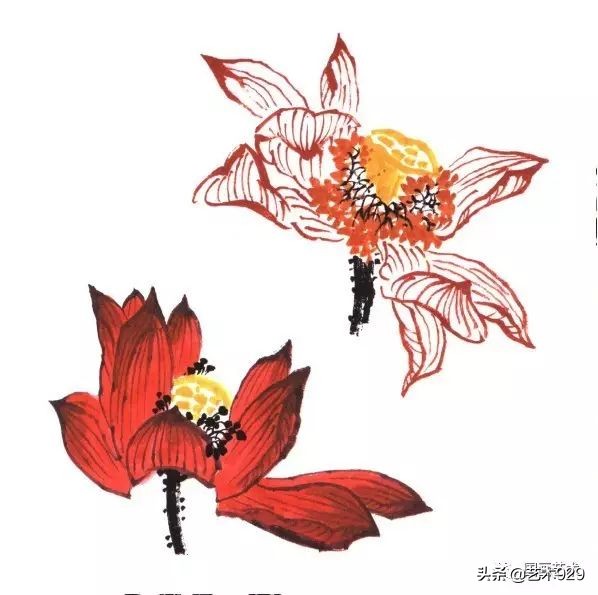 荷花的画法和步骤图解,最简单的荷花画法一学就会