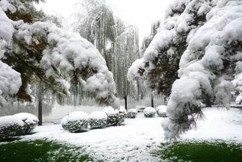 捡起曾经遗失的热爱,任何时候我们都要热爱自己的祖国