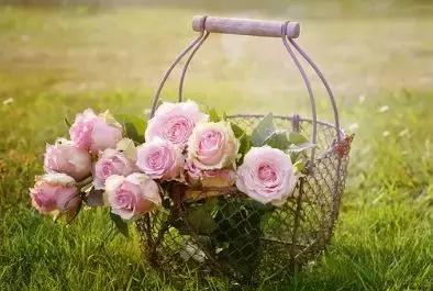 北医三院“中国医师节”系列|3000条留言精选（二）