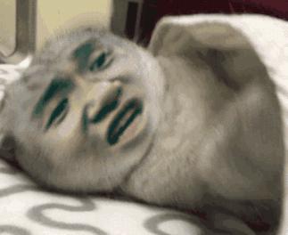 无侧切无撕裂的顺产经历。附送20多年产科主任医生的...