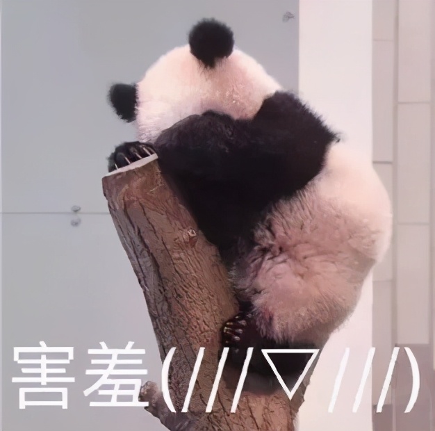 80后的小霸王学习机:对学习帮助不大,但提升了我的超级马丽水平