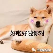 麦富迪冻干粮和双拼粮哪个好,麦富迪狗粮宠二代