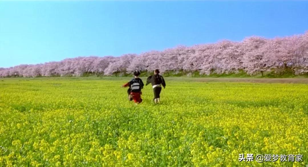 亚洲最狂野女导演,一年出3部新片,半个演艺圈为她站台