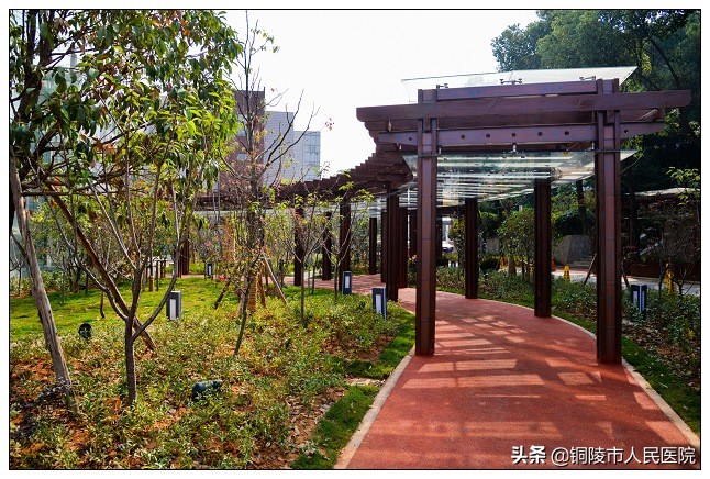 人民医院诊疗工作,医院诊疗难题解决方案