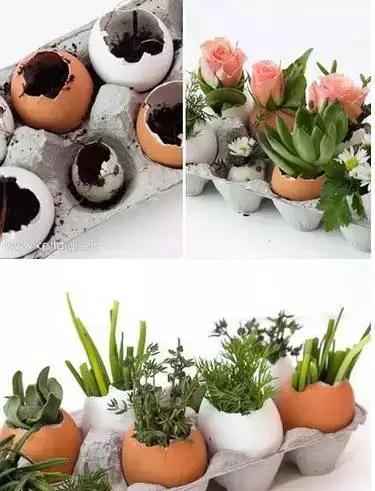 鸡蛋壳托盘手工作品创意,鸡蛋壳手工制作创意粘贴墙面画