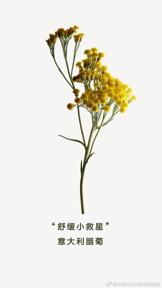 什么精华好用混合肌肤效果好,年轻肌肤补水保湿修复哪款精华好