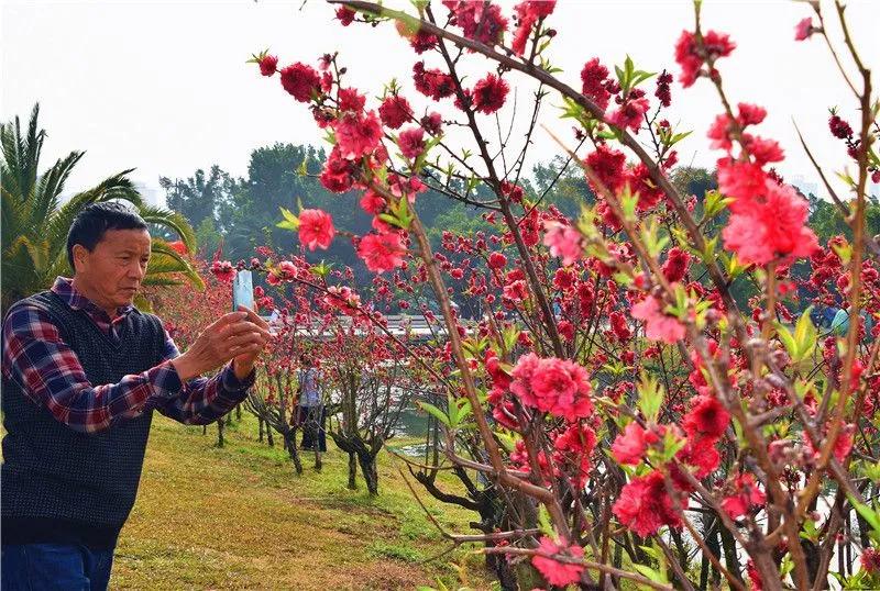 瞧!这花花世界谁不爱