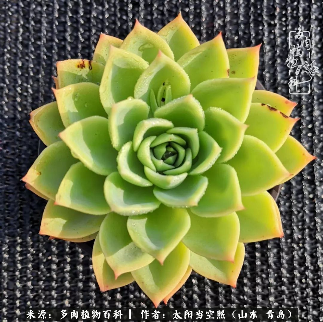 离家在外才发现最难忘的是故乡情,离家在外看见家乡的东西