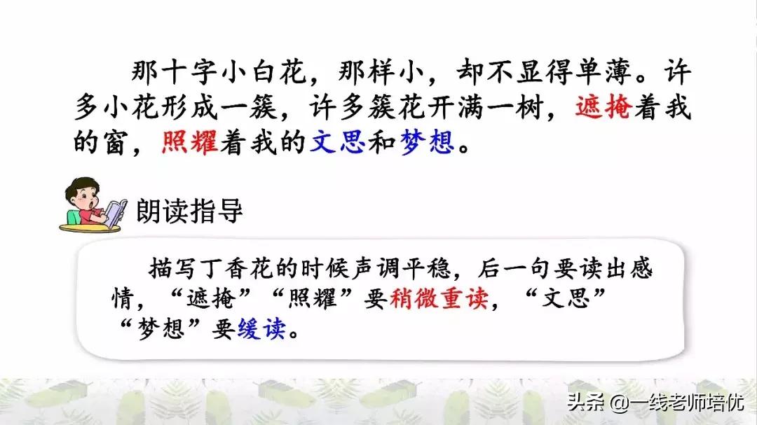 六年级上册第二课丁香结知识点,部编版六年级上册语文丁香结预习
