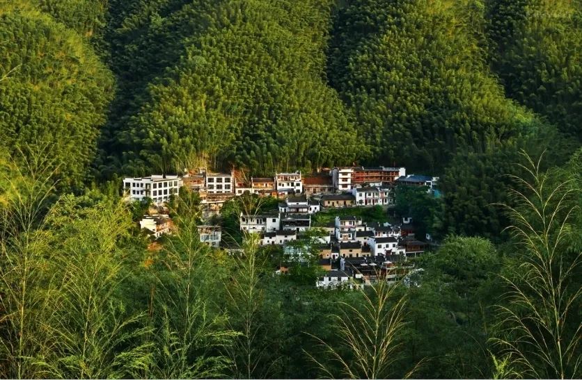 带着狗子旅行推荐,带着狗狗游新疆