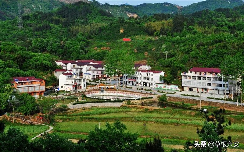 谢谢你来了全集,谢谢你医生