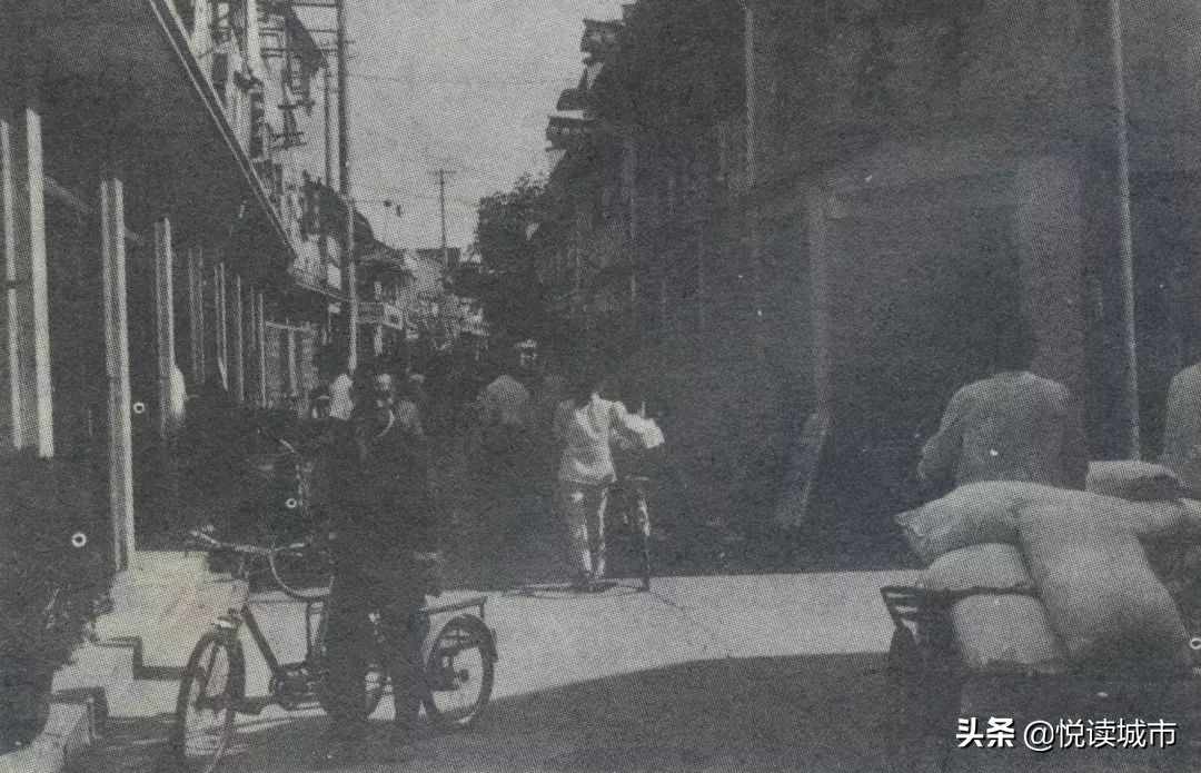 金秋赏“金”：新老照片对比金山发展老金山都不一定认得全