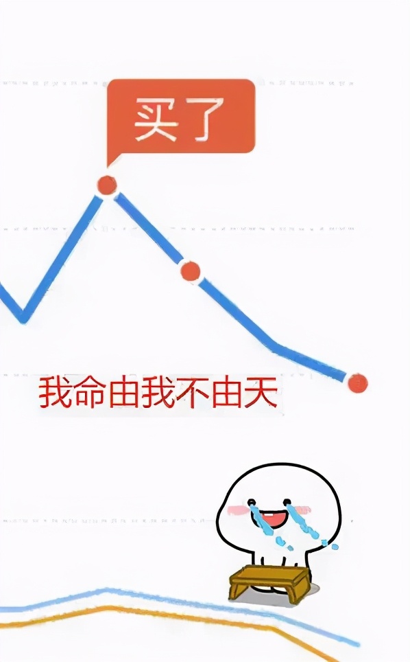 理财表情包,分享一波表情包超可爱的