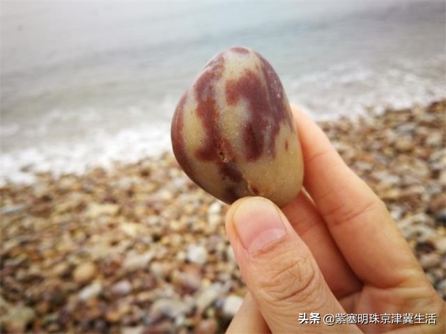 海边度假愉快的周末时光,大钦岛观海渔家