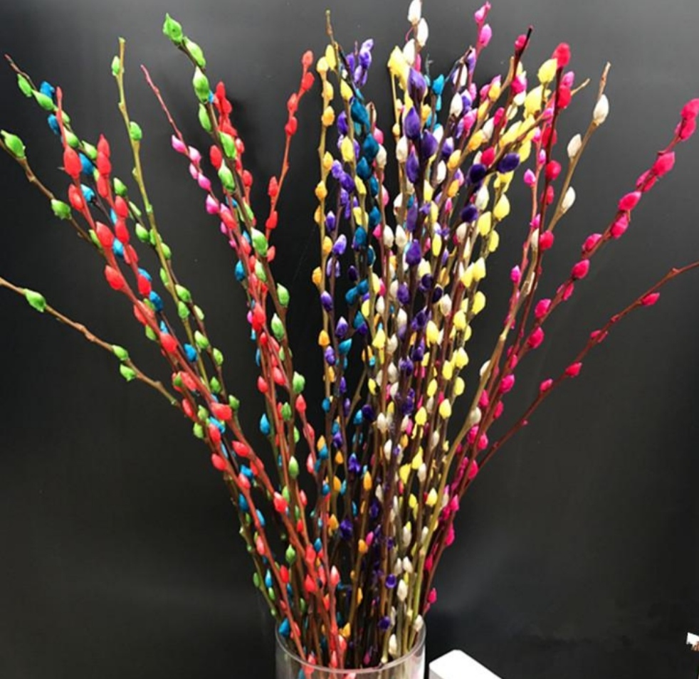 招财银柳冬天能养活吗,银柳可以放在户外盆栽不会死吧