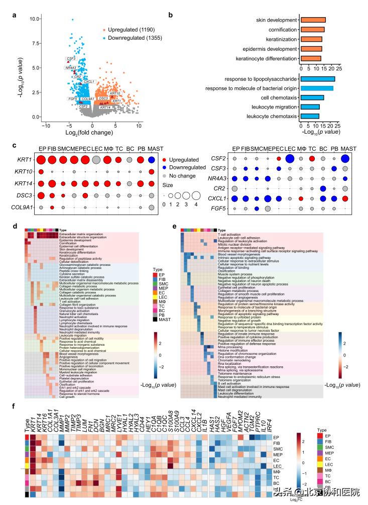 协和医院妇产科专家朱兰教授,协和妇科朱兰