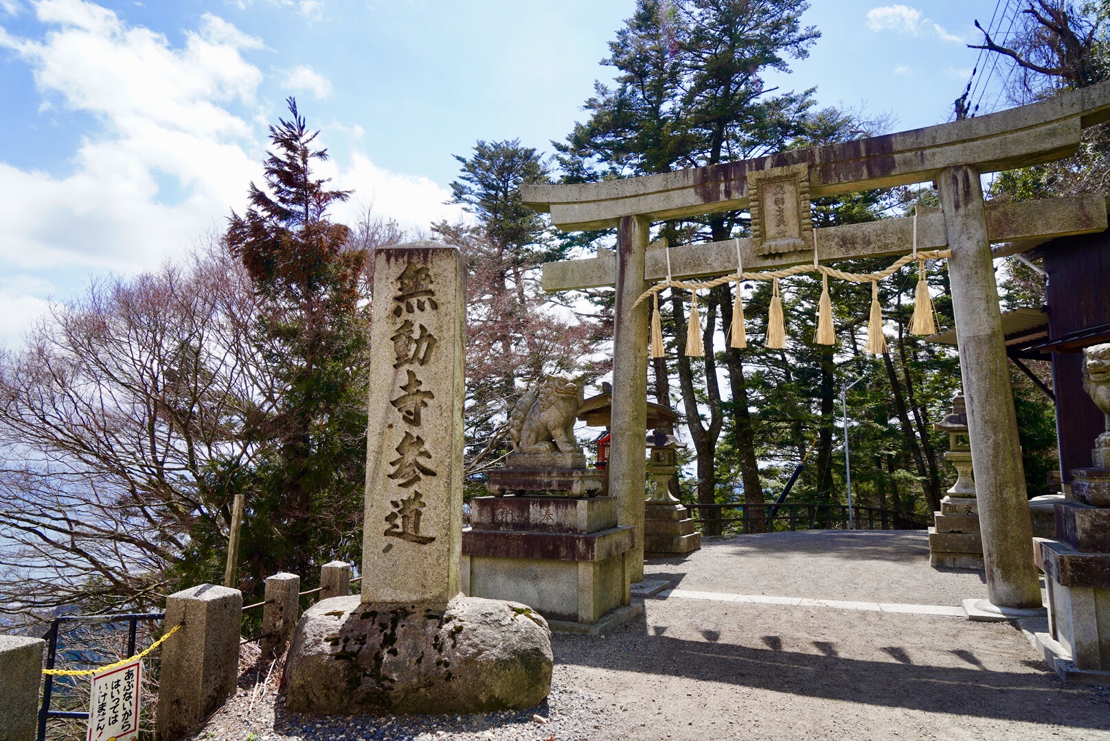 2019日本赏樱最新攻略|大津小众路线私家推荐