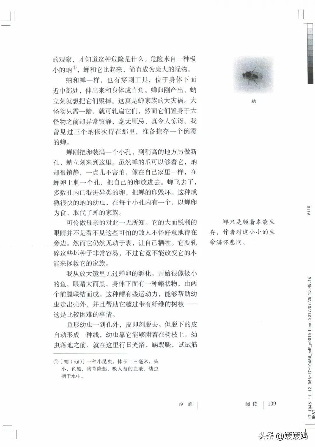 人教部编版八年级上册语文,八年级上册语文绩优学案电子课本