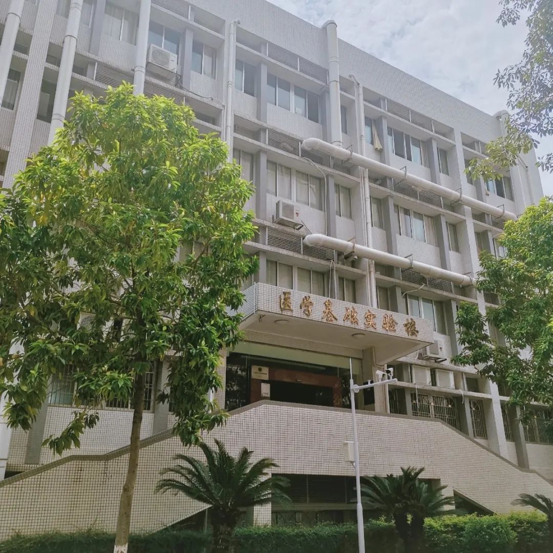 嘉应学院3+2本科,广东梅州嘉应学院是不是二本院校