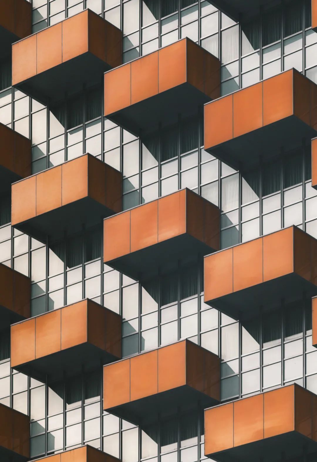 大片来袭震撼人心,成渝双城记全景图