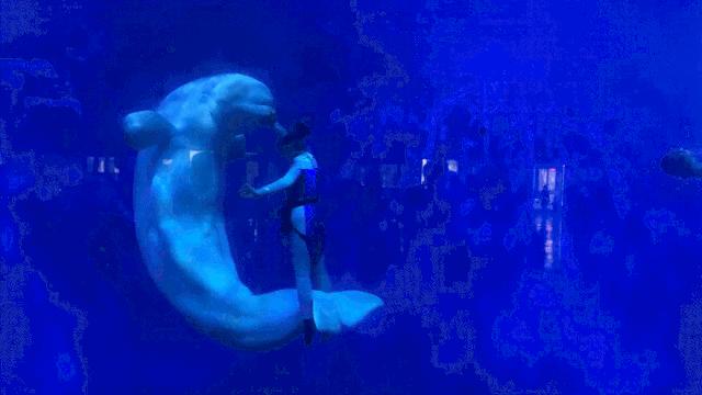 泉城欧乐堡特惠专场,泉城欧乐堡vip票