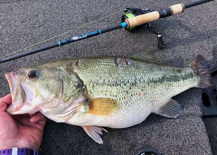 路亚钓鱼技巧新入门,路亚钓鱼进阶指南