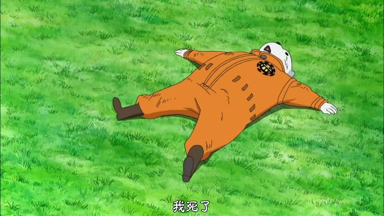 海贼王四位海军大将,海贼王团宠乔巴罗宾