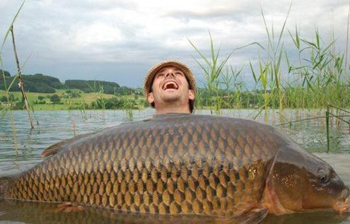 危害生态环境问题有哪些,对生态环境危害的十大动物