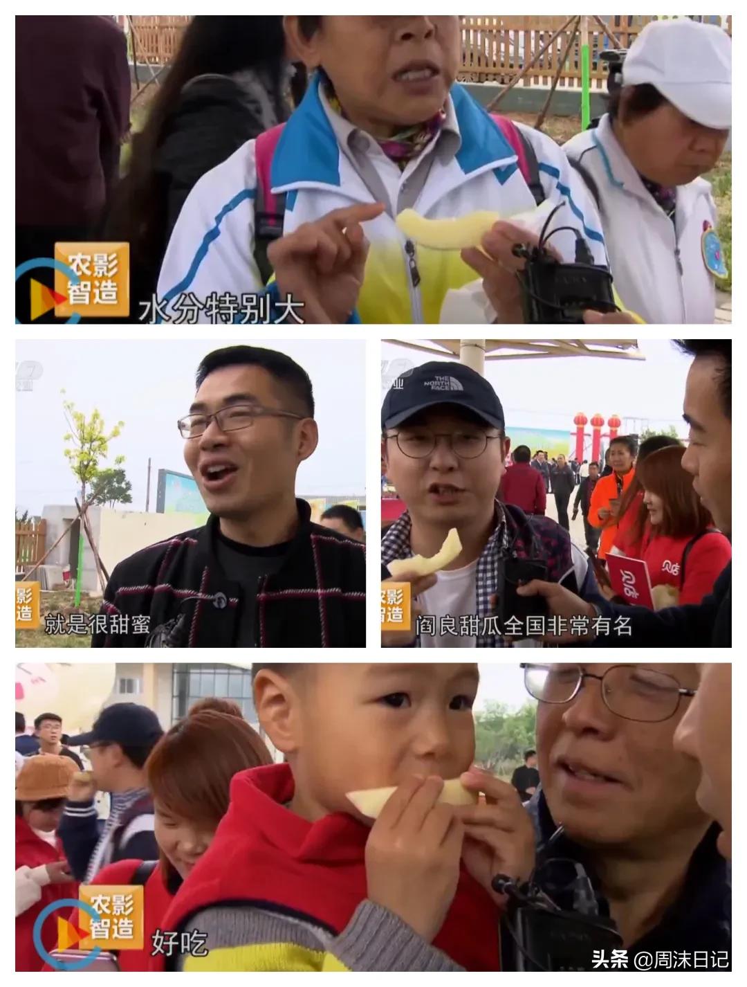 不甜不要钱!白玉甜瓜火了,脆嫩香甜多汁!全家老小都爱吃