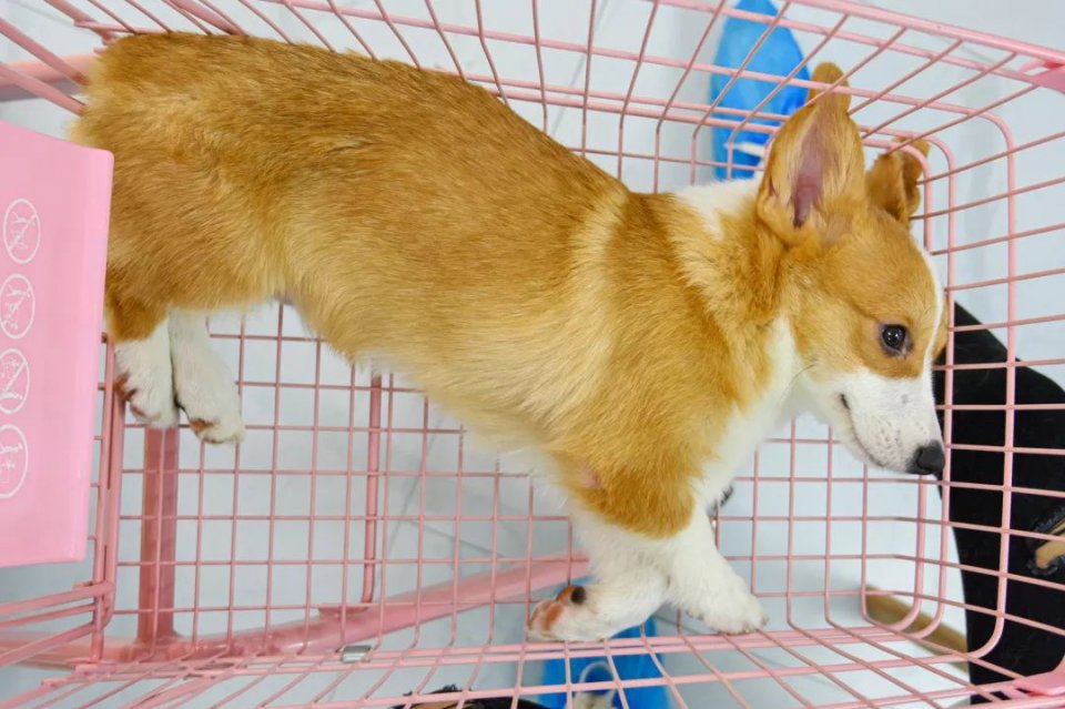 专门摸屁股的店，任摸