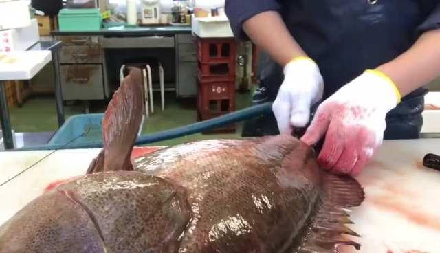 月薪三万的日本顶级厨师,处理“极品大石斑”,你觉得如何?