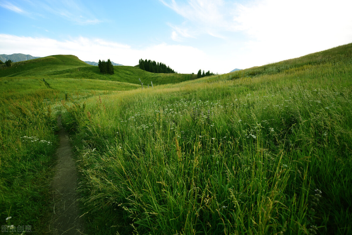 被蛇咬了可以口吸毒液吗,人被蛇咬了为什么要把毒液挤出来