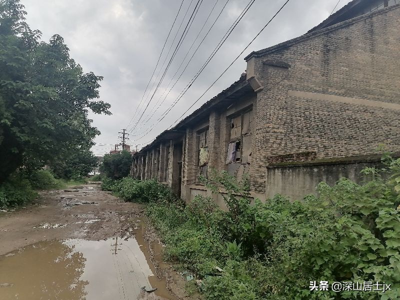 第一个下海的泰和县联合收割机厂