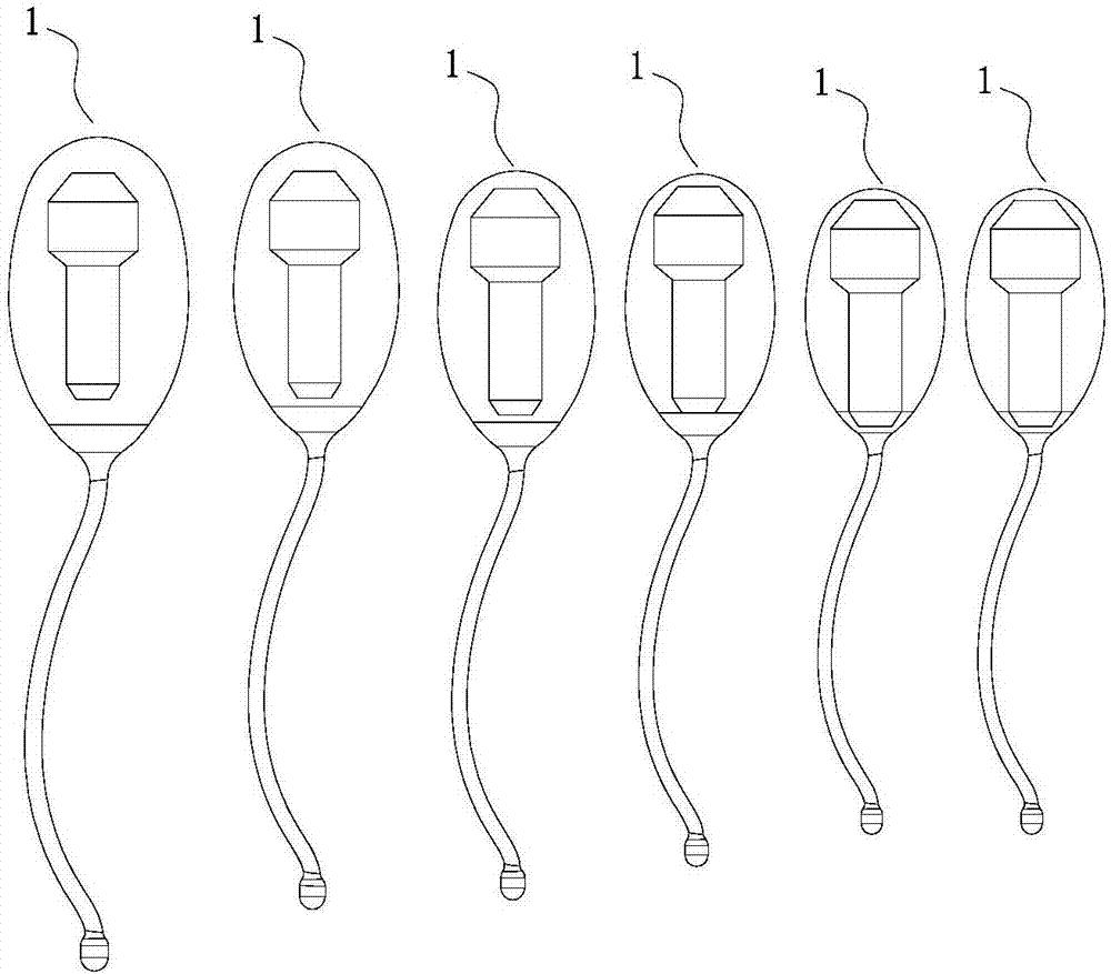 盆底康复治疗梳理,盆底康复治疗不能预防只能缓解性治疗